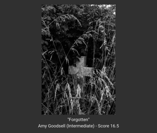 2024-25 Annual Competition