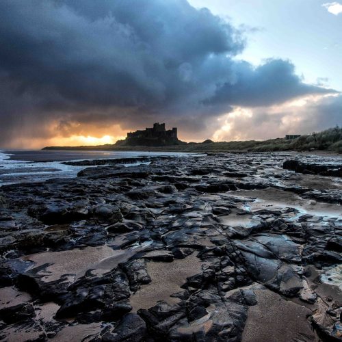 Photo Journey: Rob Walker